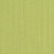 48023-0000 Spectrum Kiwi