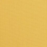 48024-0000 Spectrum Daffodil