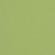 54011-0000 Canvas Ginkgo