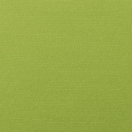 5429-0000 Canvas Macaw