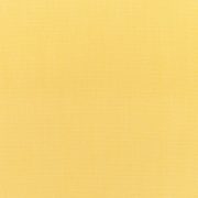 5438-0000 Canvas Buttercup