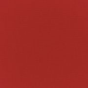 5477-0000 Canvas Logo Red