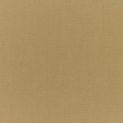 5484-0000 Canvas Brass