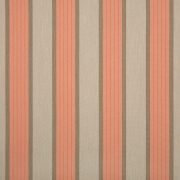 58037-0000 Cove Cameo