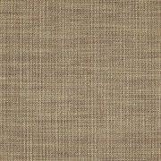 5928-0033 Augustine Fennel