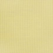 5928-0040 Augustine Pear