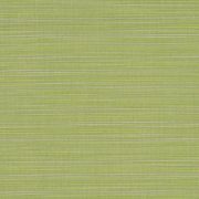 8024-0000 Dupione Peridot