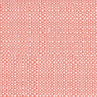 28131 BEACH CORAL