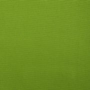 Canvas Green