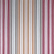 89034 CHARM SUNSHINE