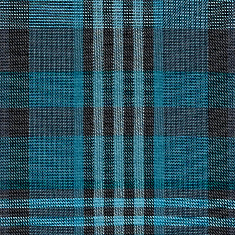 CHE F058 CHECKS EDWARD PEACOCK