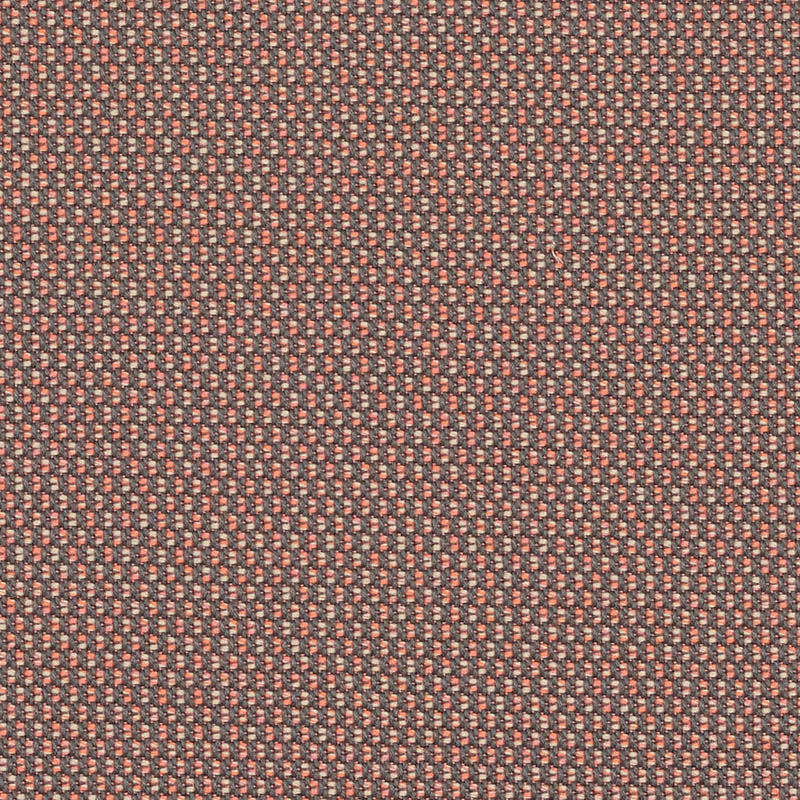 LOP R025 LOPI CORAL
