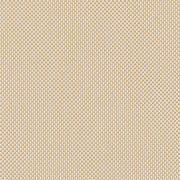 ROB R004 ROBBEN STRAW