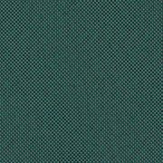 ROB R010 ROBBEN FOREST