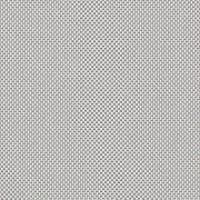 ROB R032 ROBBEN SILVER