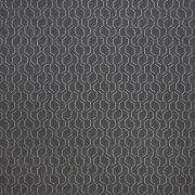 69010-0002 Adaptation Stone